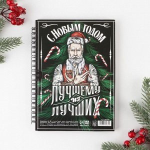 Ежедневник А5, 60 листов, недатированный, в подарочной коробке «Новый год: Хозяину жизни»