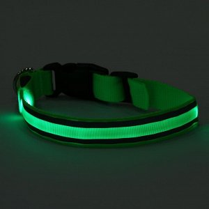 Ошейник с подсветкой и 2 светоотражающими полосами, 2,5 см, 37-45 см, 3 режима свечения, зелёный 103