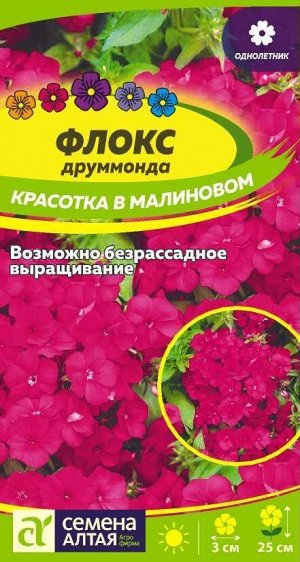 Флокс Красотка в малиновом Друммонда/Сем Алт/цп 0,05 гр.