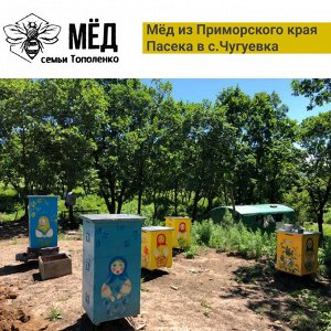 Липовый мед Приморский 0,5 кг. Сбор 2024