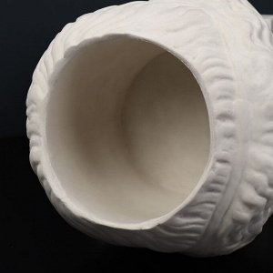 Кашпо-голова из гипса «Муза», белое, 11,5 х 9 см