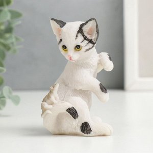Сувенир полистоун "Бело-чёрный котёнок с мышкой на хвосте" 8,5х5,5х6 см