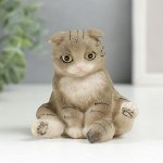 Сувенир полистоун &quot;Котик сидит на попе&quot; 7х7х7,5 см