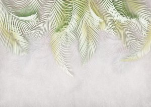 Фотообои Роскошные пальмовые ветви 4