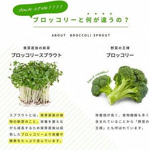 SEEDCOMS Broccoli - сульфорафан из ростков брокколи