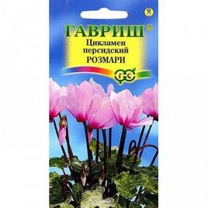 Цикламен Розмари (Гавр)