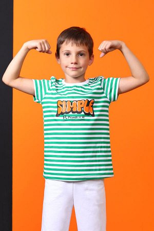 Футболка Варианты расцветки: зеленый
Ткань:  кулирка, Состав: хлопок 100%
Футболка детская универсальная. Данная модель выполнена из трикотажного полотна кулирка (хлопок 100%). Горловина обработана эл