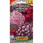Гвоздика турецкая Макарена F2, смесь (Аэлита)