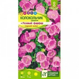 Колокольчик Розовый Фарфор сред (Алтай)