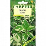 Дерен белый Карантус (Гавр)