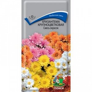 Хризантема смесь окрасок крупноцветковая (мн) (П)