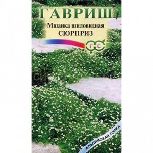 Мшанка сюрприз (Гавр)