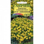 Бархатцы Лулу лимонный тонколист. (Гавр)