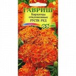 Бархатцы Русти Ред отклон. (Гавр)