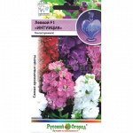 Левкой Интуиция (низкорос.см) (НК)