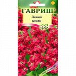 Левкой Квик (Гавр)