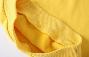 Костюм детский спортивный, утепленный на мягком флисе, принт  "Прекрасная София", цвет желтый/серый