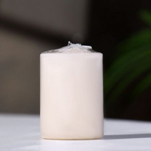 Свеча - цилиндр ароматическая "Пряное яблоко", 4х6 см