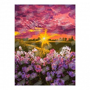 Рх-031 Набор для творчества LORI Картина по номерам холст на подрамнике Солнечные лучи 30*40 см