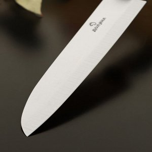 Нож кухонный «Кронос», лезвие 13,5 см