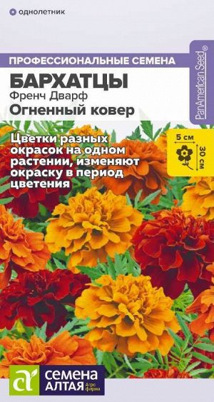 Бархатцы Френч Дварф Огненный ковер/Сем Алт/цп 8 шт.