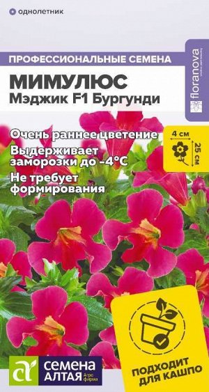 Мимулюс Мэджик F1 Бургунди/Сем Алт/цп 7 шт.