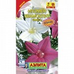 Ипомея Квамоклит смесь (Аэлита)