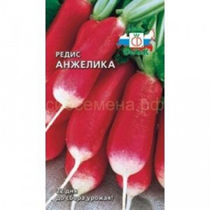 Редис Анжелика (Седек)