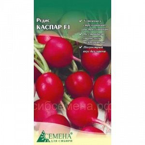 Редис Каспар F1, 0,5г (цв.) (Сингента)