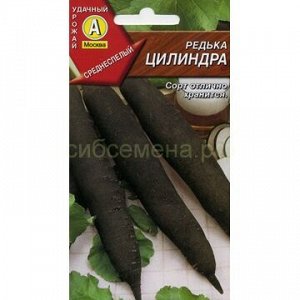 Редька Цилиндра черная (Аэлита)