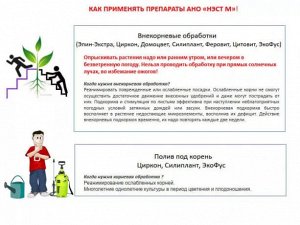 Х Домоцвет 1мл регулятор болезнеустойчивости комн и сад растений 1/500