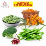 Заморозка для запасливых