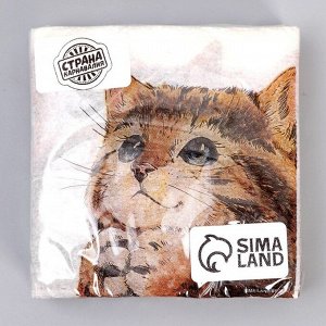 Салфетки бумажные однослойные «Котёнок», 24?24 см, набор 20 штук
