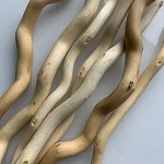 Ствол для топирия (Корелис) средний