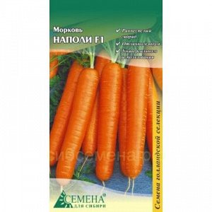 Морковь Наполи F1, 0,2г (цв.) Бейо