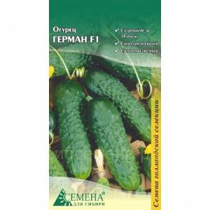 Огурец Герман F1 (Голландия), 5сем (цв.)