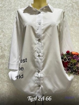 Блуза без выбора