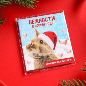 Молочный шоколад в открытке «Нежности в новом году», 5 г.
