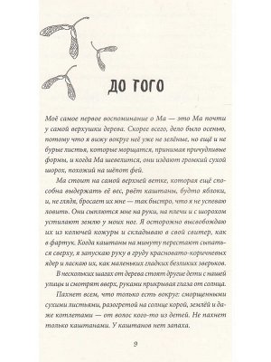 Штефани Хёфлер  Большая чёрная птица
