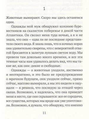 Шарлотта Макконахи  Миграции