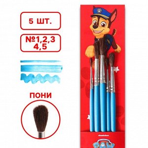 Набор кистей Пони 5шт (№1,2,3.4,5) , Paw Patrol