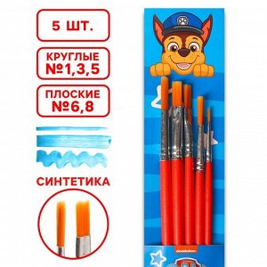 Набор кистей Синтетика 5шт (кр №1,3,5; пл: №6,8), Paw Patrol