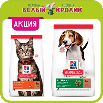 Белый Кролик! Огромный выбор для Ваших питомцев🐰 — Акция! Hill's! Сухой корм для собак и кошек