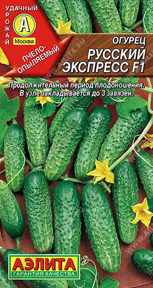 Огурец Русский экспресс F1