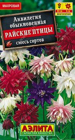 Аквилегия Райские птицы, смесь сортов
