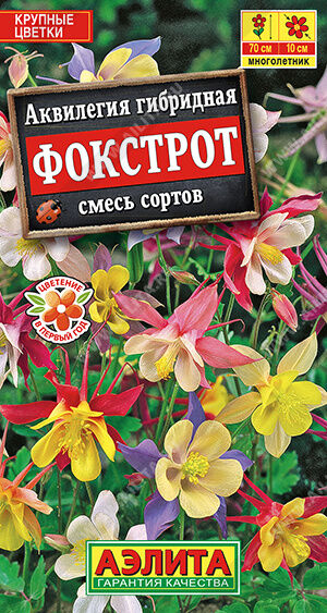 Аквилегия Фокстрот, смесь сортов