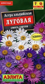 Астра альпийская Луговая, смесь сортов