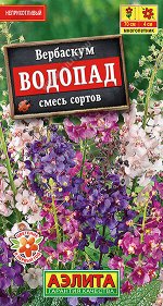 Вербаскум Водопад, смесь сортов