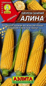 Кукуруза сахарная Алина