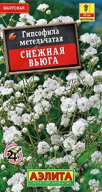 Гипсофила махровая Снежная вьюга